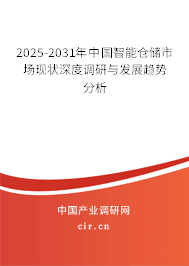 2025-2031年中國(guó)智能倉(cāng)儲(chǔ)市場(chǎng)現(xiàn)狀深度調(diào)研與發(fā)展趨勢(shì)分析