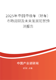 2025年中國中級車（轎車）市場調(diào)研及未來發(fā)展前景預測報告
