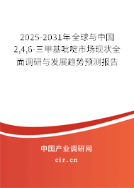 2025-2031年全球與中國(guó)2,4,6-三甲基吡啶市場(chǎng)現(xiàn)狀全面調(diào)研與發(fā)展趨勢(shì)預(yù)測(cè)報(bào)告