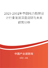 2025-2031年中國電力勘察設(shè)計(jì)行業(yè)發(fā)展深度調(diào)研與未來趨勢分析