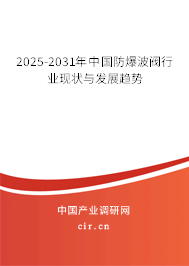 2025-2031年中國防爆波閥行業(yè)現(xiàn)狀與發(fā)展趨勢