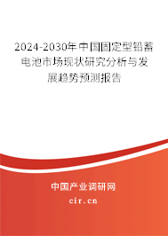 2024-2030年中國固定型鉛蓄電池市場現(xiàn)狀研究分析與發(fā)展趨勢預(yù)測報(bào)告