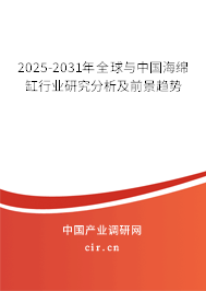 2025-2031年全球與中國海綿缸行業(yè)研究分析及前景趨勢
