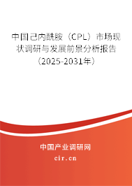 中國己內酰胺（CPL）市場現狀調研與發(fā)展前景分析報告（2025-2031年）