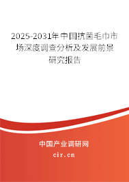 2025-2031年中國抗菌毛巾市場深度調(diào)查分析及發(fā)展前景研究報告