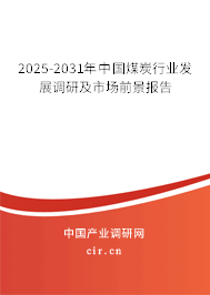 2025-2031年中國煤炭行業(yè)發(fā)展調(diào)研及市場前景報告