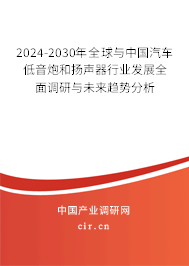 2024-2030年全球與中國(guó)汽車(chē)低音炮和揚(yáng)聲器行業(yè)發(fā)展全面調(diào)研與未來(lái)趨勢(shì)分析