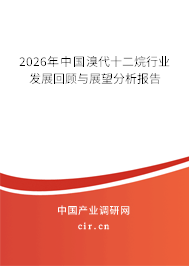 2026年中國(guó)溴代十二烷行業(yè)發(fā)展回顧與展望分析報(bào)告