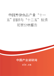 中國方便食品產(chǎn)業(yè)“十一五”回顧與“十二五”投資前景分析報告