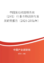 中國發(fā)動機管理系統（EMS）行業(yè)市場調研與發(fā)展趨勢報告（2025-2031年）