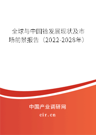 全球與中國鉿發(fā)展現(xiàn)狀及市場前景報(bào)告（2022-2028年）