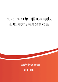 2025-2031年中國IGBT模塊市場現(xiàn)狀與前景分析報告