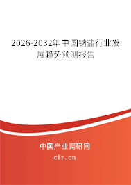 2026-2032年中國鈉鹽行業(yè)發(fā)展趨勢預(yù)測報告 2026-2032年中國鈉鹽行業(yè)發(fā)展趨勢預(yù)測報告