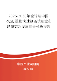 2025-2030年全球與中國PAGE凝膠快速制備試劑盒市場(chǎng)研究及發(fā)展前景分析報(bào)告 2025-2030年全球與中國PAGE凝膠快速制備試劑盒市場(chǎng)研究及發(fā)展前景分析報(bào)告