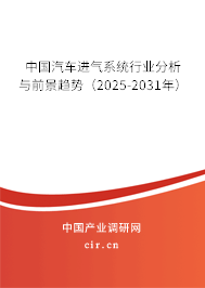 中國汽車進氣系統(tǒng)行業(yè)分析與前景趨勢（2025-2031年）