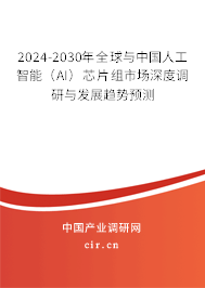 2024-2030年全球與中國人工智能（AI）芯片組市場深度調(diào)研與發(fā)展趨勢預(yù)測