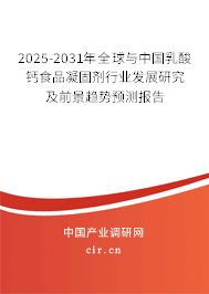 2025-2031年全球與中國乳酸鈣食品凝固劑行業(yè)發(fā)展研究及前景趨勢預測報告
