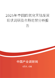 2025年中國(guó)四氧化三鈷發(fā)展現(xiàn)狀調(diào)研及市場(chǎng)前景分析報(bào)告