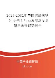 2025-2031年中國碳酸氫鈉(小蘇打)行業(yè)發(fā)展深度調(diào)研與未來趨勢報告 2025-2031年中國碳酸氫鈉(小蘇打)行業(yè)發(fā)展深度調(diào)研與未來趨勢報告