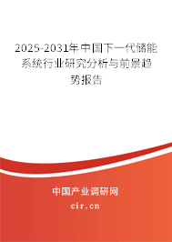 2025-2031年中國下一代儲能系統(tǒng)行業(yè)研究分析與前景趨勢報(bào)告