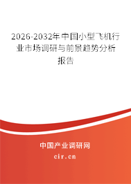 2026-2032年中國(guó)小型飛機(jī)行業(yè)市場(chǎng)調(diào)研與前景趨勢(shì)分析報(bào)告