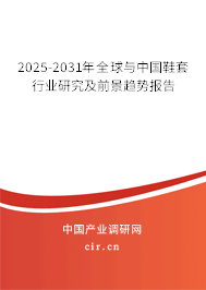 2025-2031年全球與中國鞋套行業(yè)研究及前景趨勢報告 2025-2031年全球與中國鞋套行業(yè)研究及前景趨勢報告