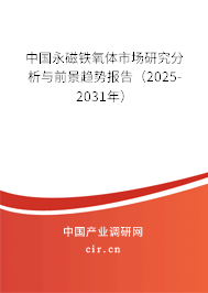 中國永磁鐵氧體市場研究分析與前景趨勢報告（2025-2031年）
