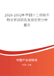 2026-2032年中國十二叔胺市場全景調(diào)研及發(fā)展前景分析報(bào)告
