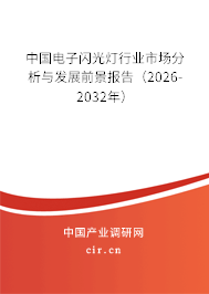 中國電子閃光燈行業(yè)市場分析與發(fā)展前景報告（2026-2032年）