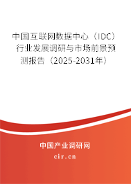 中國互聯(lián)網(wǎng)數(shù)據(jù)中心（IDC）行業(yè)發(fā)展調(diào)研與市場前景預(yù)測報(bào)告（2025-2031年）