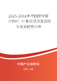 2025-2031年中國聚甲醛（POM）行業(yè)現(xiàn)狀深度調研與發(fā)展趨勢分析
