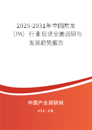 2025-2031年中國尼龍（PA）行業(yè)現(xiàn)狀全面調(diào)研與發(fā)展趨勢報告
