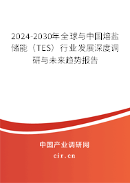 2024-2030年全球與中國熔鹽儲能（TES）行業(yè)發(fā)展深度調研與未來趨勢報告