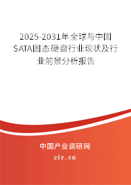 2025-2031年全球與中國SATA固態(tài)硬盤行業(yè)現(xiàn)狀及行業(yè)前景分析報(bào)告