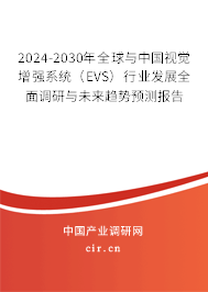 2024-2030年全球與中國視覺增強系統(tǒng)（EVS）行業(yè)發(fā)展全面調(diào)研與未來趨勢預(yù)測報告