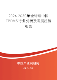2024-2030年全球與中國TBDMS行業(yè)分析及發(fā)展趨勢報告 2024-2030年全球與中國TBDMS行業(yè)分析及發(fā)展趨勢報告