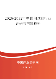 2026-2032年中國(guó)網(wǎng)球鞋行業(yè)調(diào)研與前景趨勢(shì)