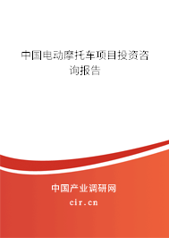 中國電動摩托車項目投資咨詢報告 中國電動摩托車項目投資咨詢報告