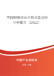 中國地暖綁絲市場深度調研分析報告（2012）