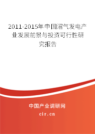 2011-2015年中國沼氣發(fā)電產業(yè)發(fā)展前景與投資可行性研究報告