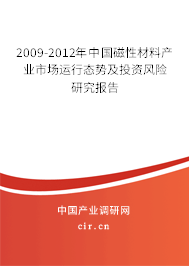 2009-2012年中國(guó)磁性材料產(chǎn)業(yè)市場(chǎng)運(yùn)行態(tài)勢(shì)及投資風(fēng)險(xiǎn)研究報(bào)告