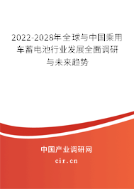 2022-2028年全球與中國乘用車蓄電池行業(yè)發(fā)展全面調(diào)研與未來趨勢