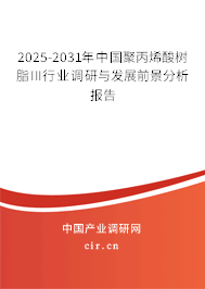 2025-2031年中國聚丙烯酸樹脂III行業(yè)調(diào)研與發(fā)展前景分析報告