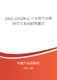 2025-2031年遼寧天然氣市場研究與發(fā)展趨勢報(bào)告