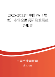 2025-2031年中國PA（尼龍）市場全面調(diào)研及發(fā)展趨勢報(bào)告