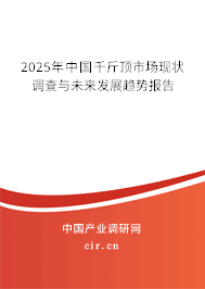 2025年中國千斤頂市場現(xiàn)狀調(diào)查與未來發(fā)展趨勢報告