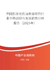 中國石墨化石油焦增碳劑行業(yè)市場調研與發(fā)展趨勢分析報告（2025年）