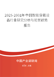 2025-2031年中國(guó)智能穿戴設(shè)備行業(yè)研究分析與前景趨勢(shì)報(bào)告