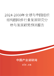2024-2030年全球與中國組織結(jié)構(gòu)圖軟件行業(yè)發(fā)展研究分析與發(fā)展趨勢預(yù)測報告