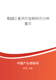 集團(tuán)企業(yè)風(fēng)險(xiǎn)管理研究分析報(bào)告